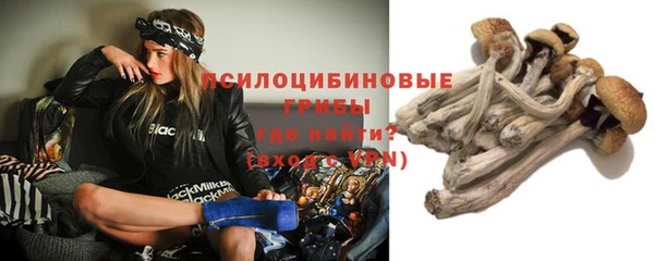 дмт Арсеньев