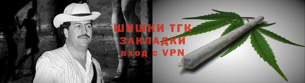 гидра Армянск