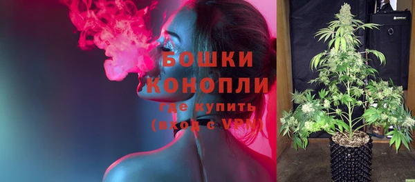 дмт Арсеньев