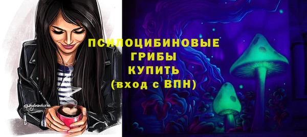 гидра Армянск